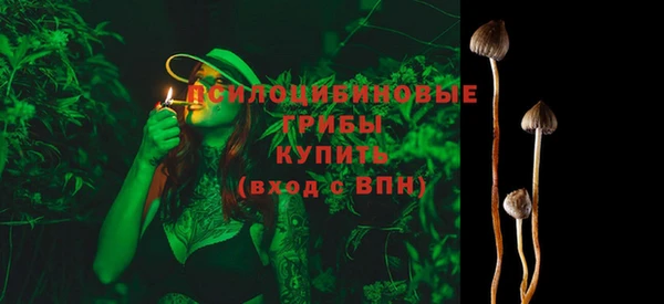 твердый Переславль-Залесский