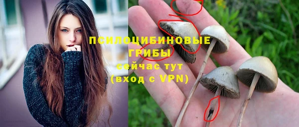 твердый Переславль-Залесский
