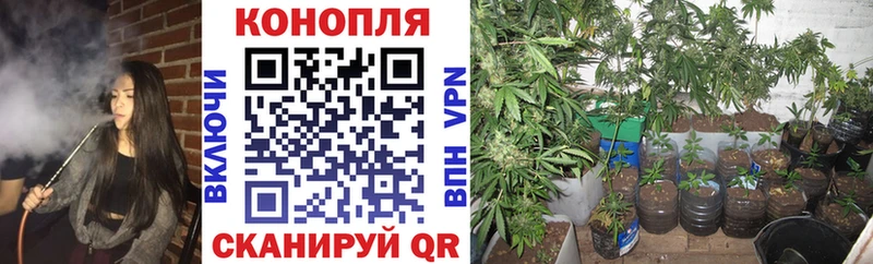 Канабис конопля Слюдянка